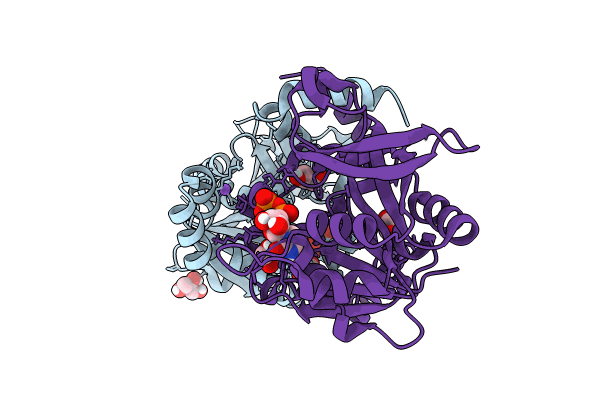 8B6D image