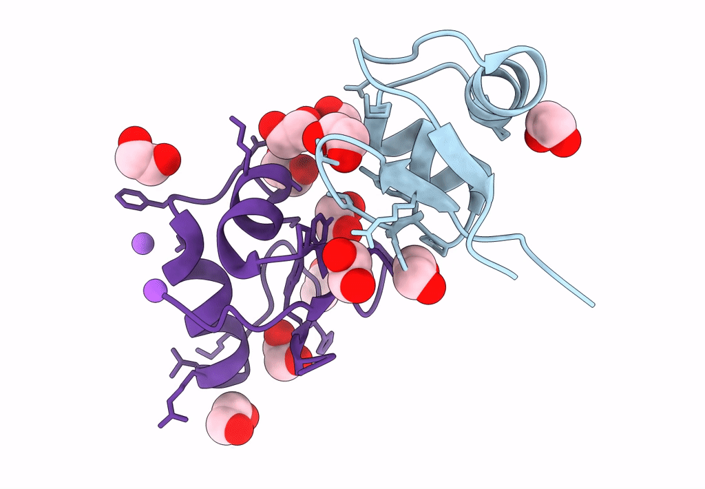8B6E image