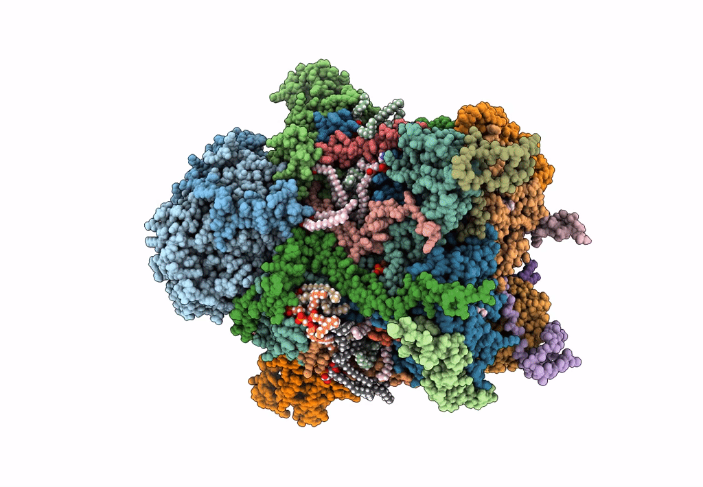 8B6J image