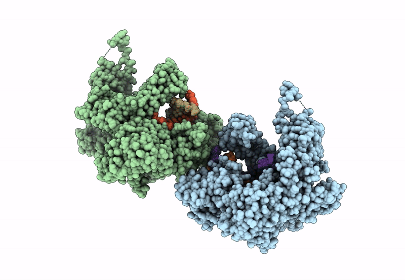 8B6K image