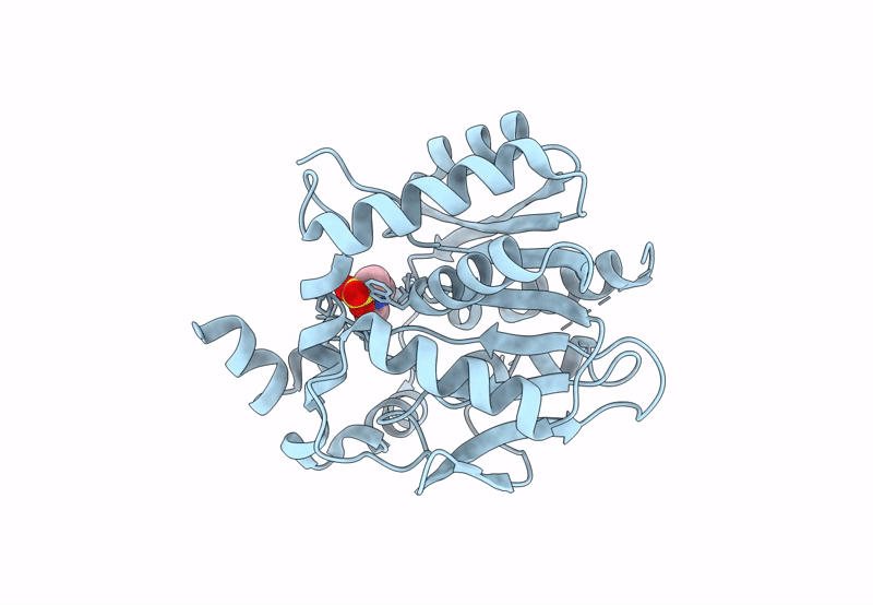 8B6N image