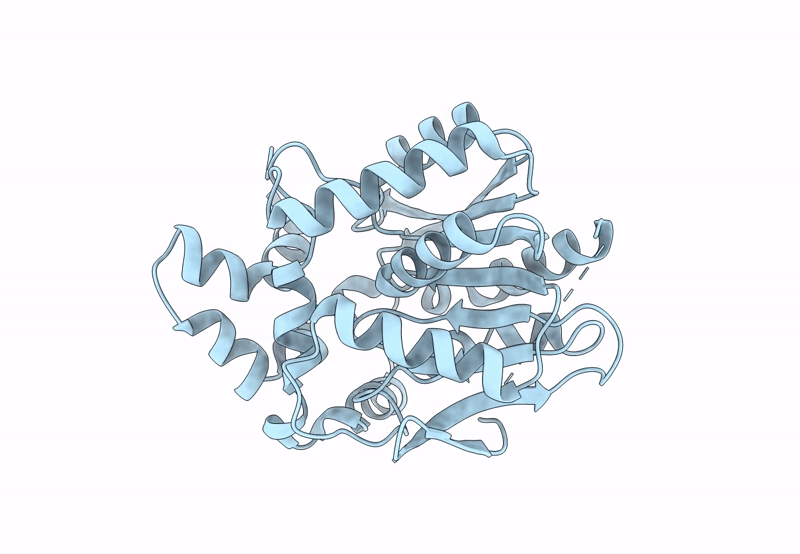 8B6O image