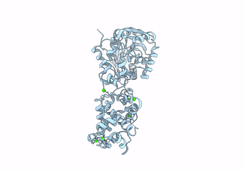 8B6Q image