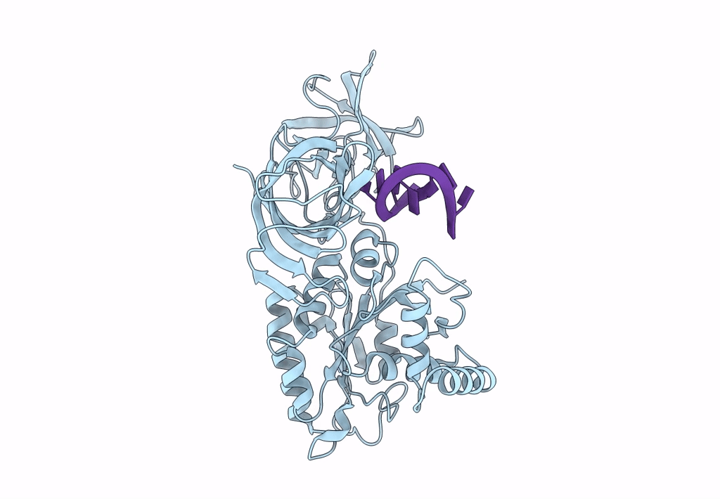 8B6Z image