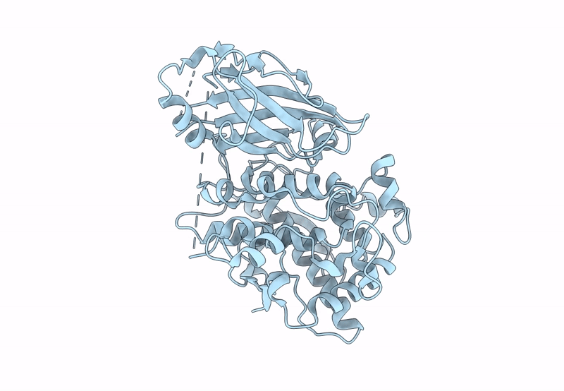 8B74 image