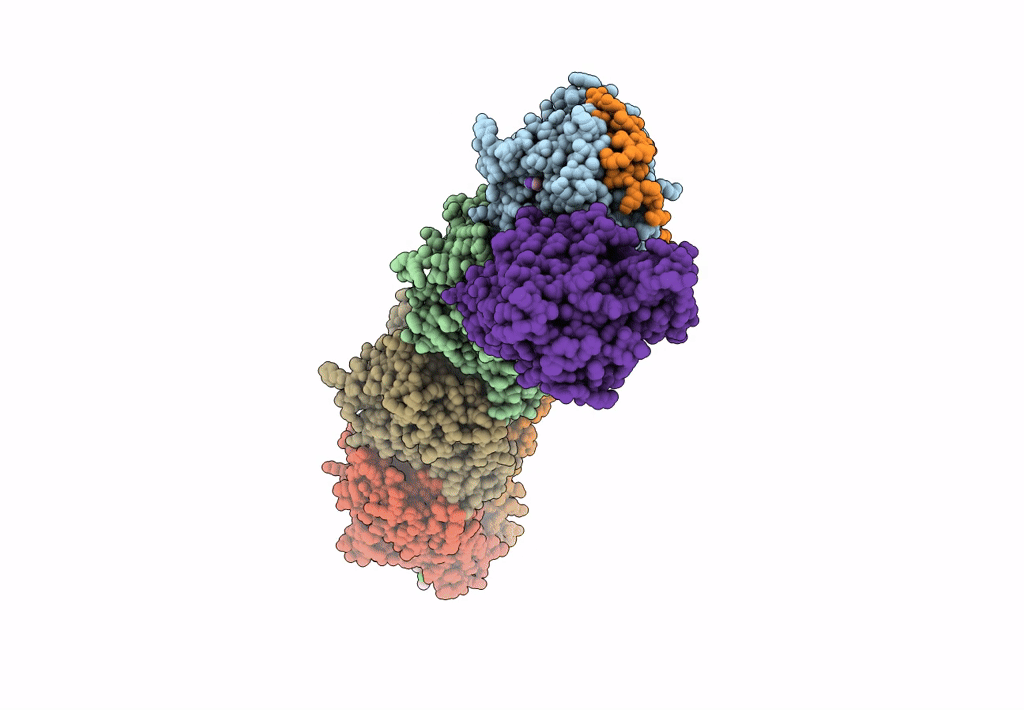 8B7A image