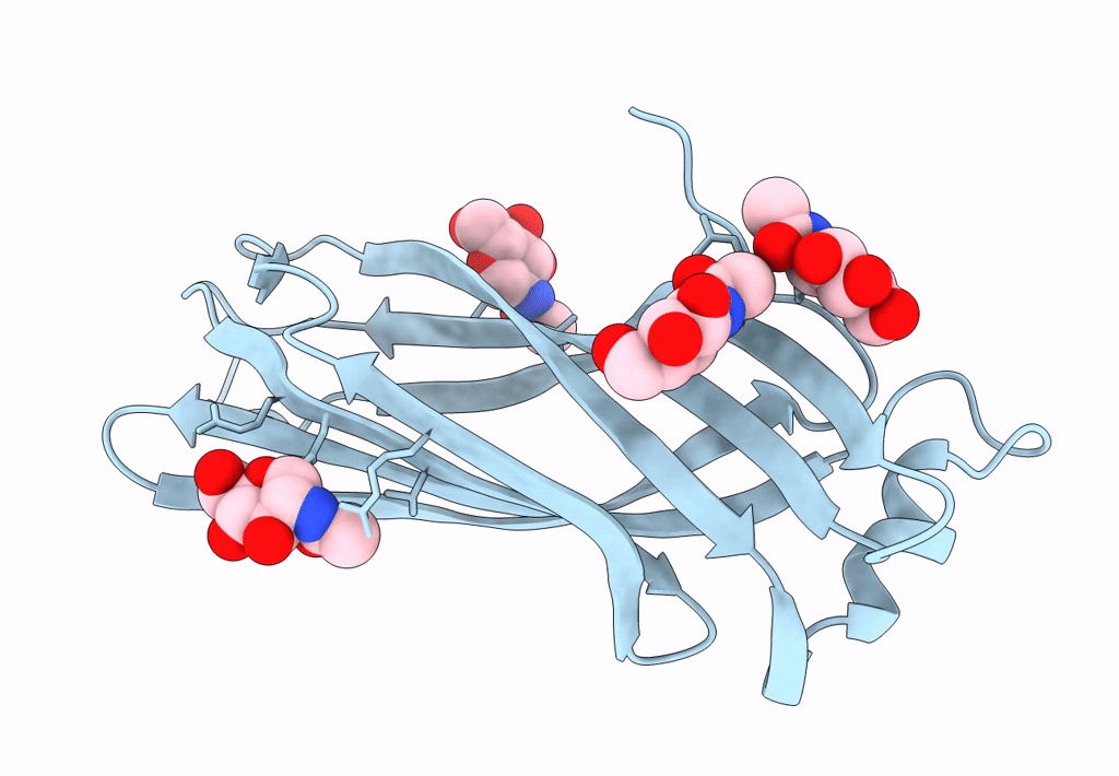 8B7D image