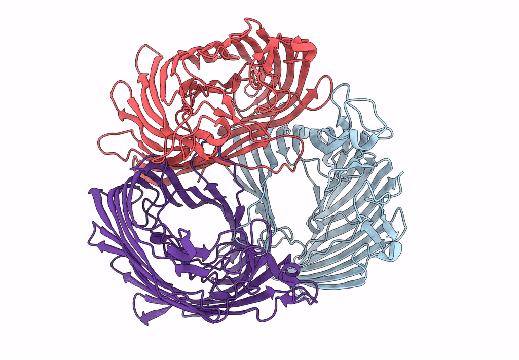 8B7V image