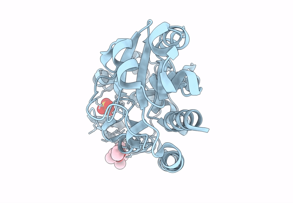8B7X image