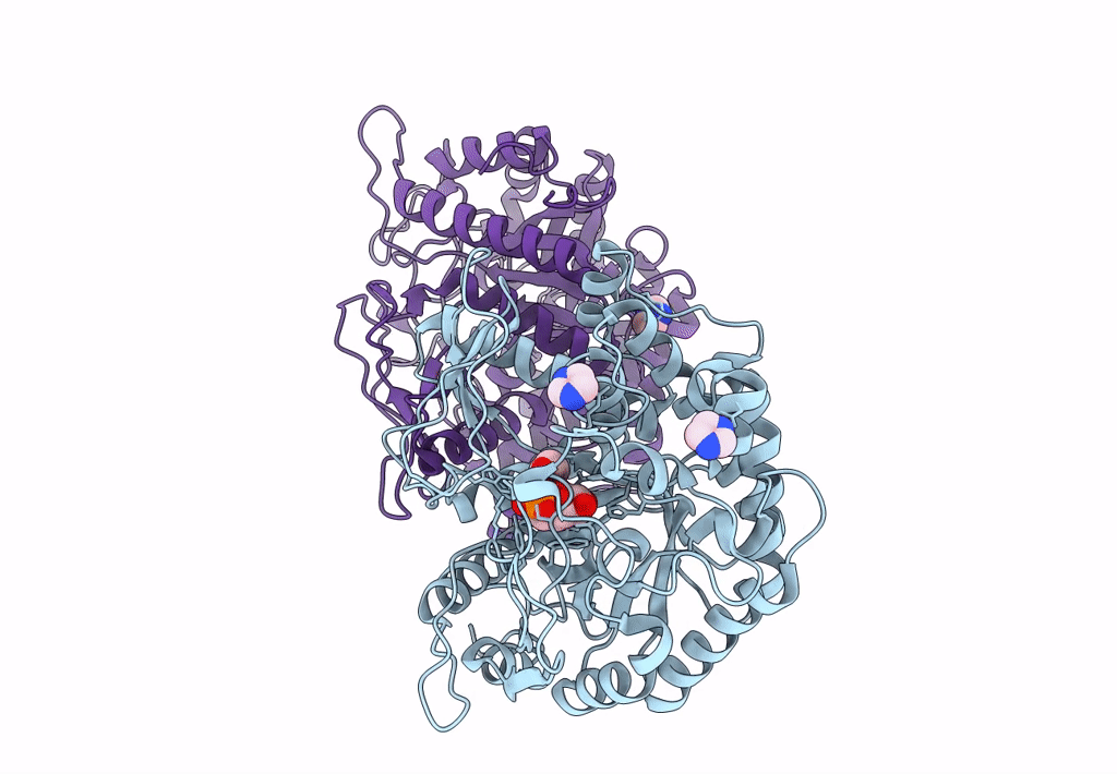 8B80 image