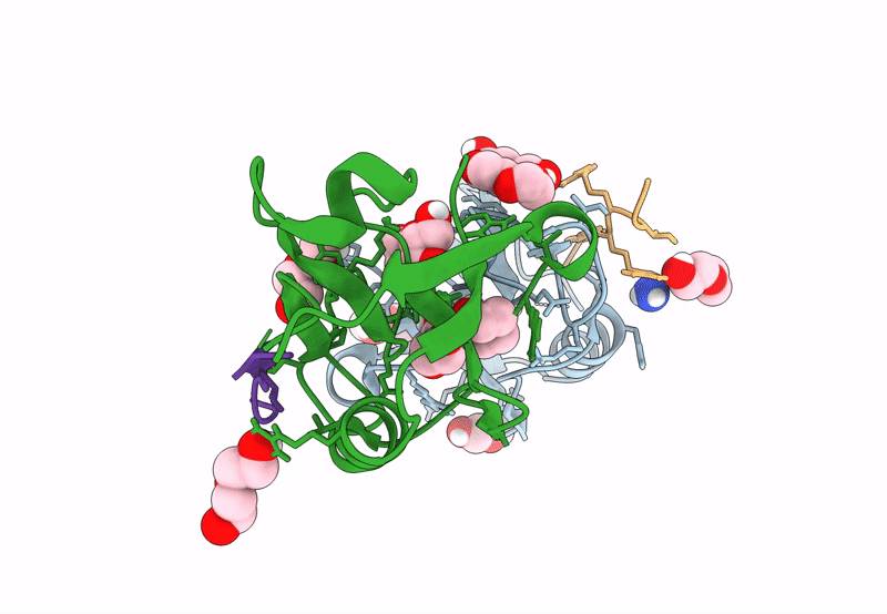 8B87 image