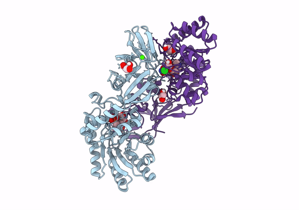 8B8H image