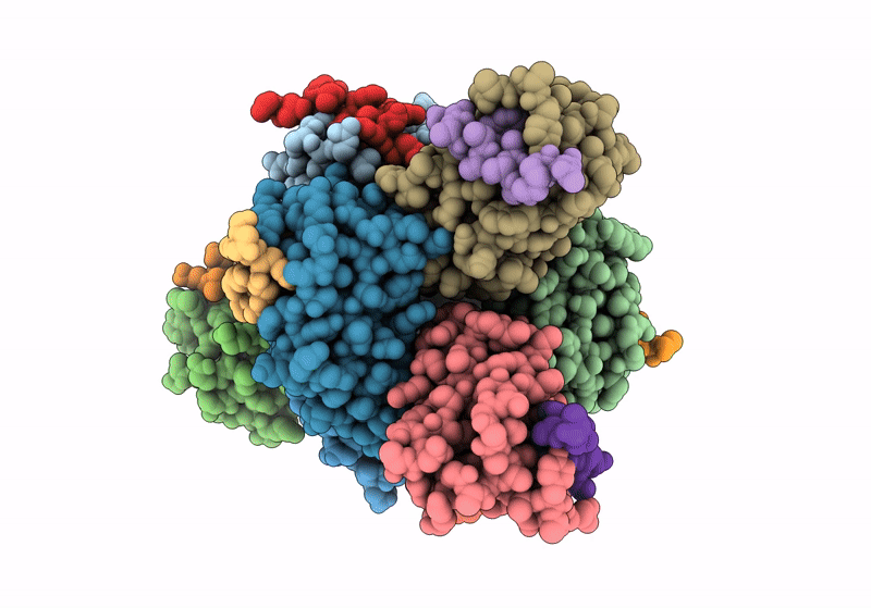 8B8I image