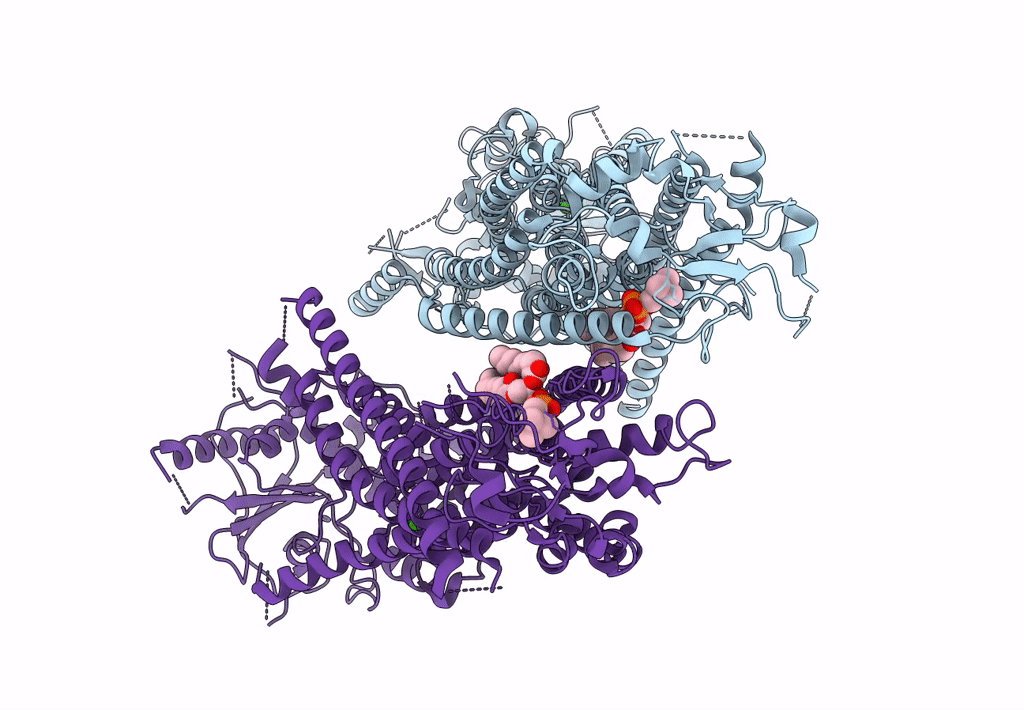 8B8K image