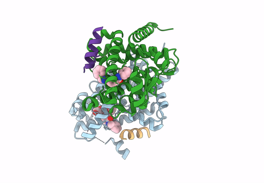 8B8W image