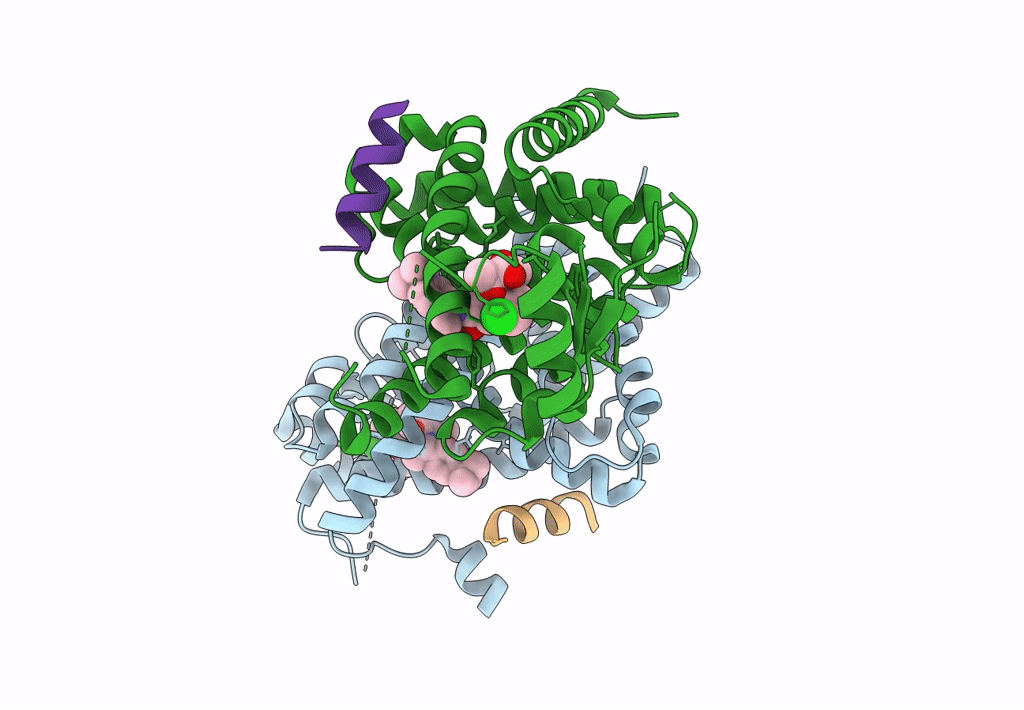 8B8X image
