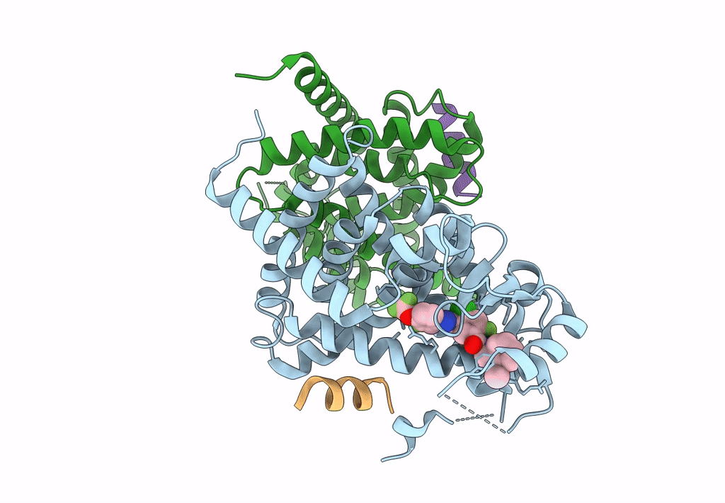 8B91 image