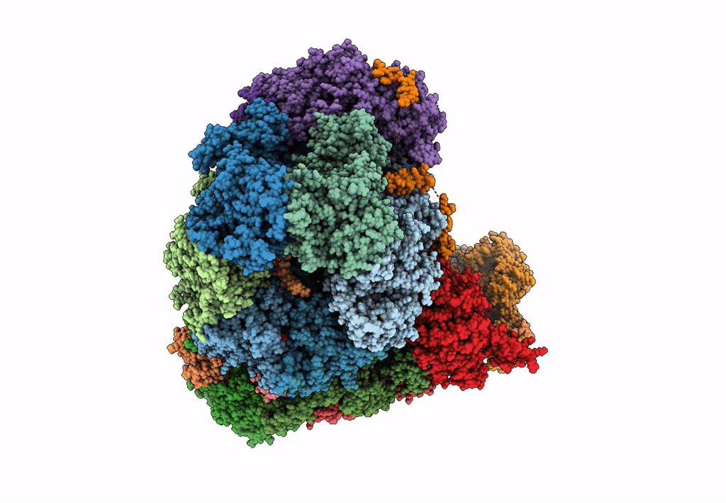 8B9B image