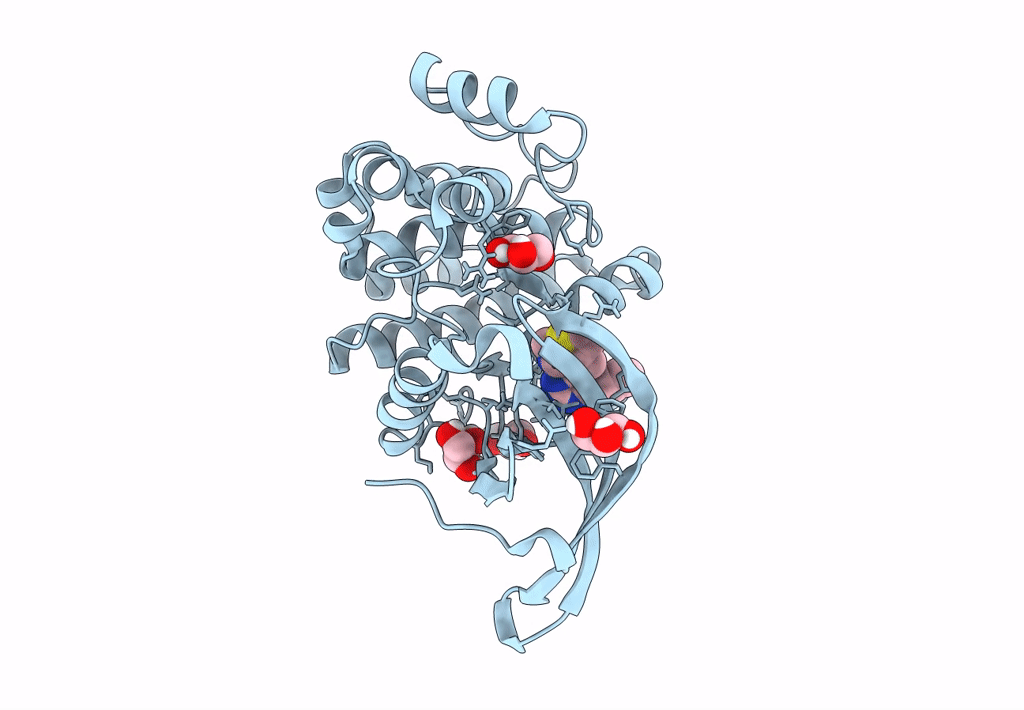 8B9H image