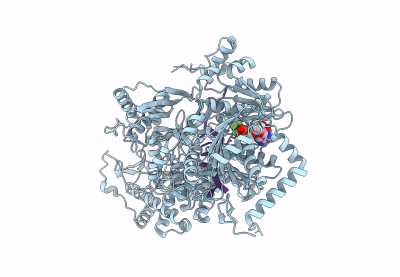 8B9I image