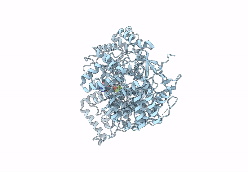 8B9J image