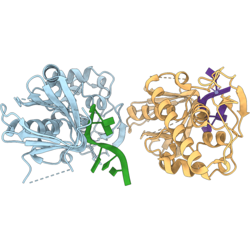 8B9N image
