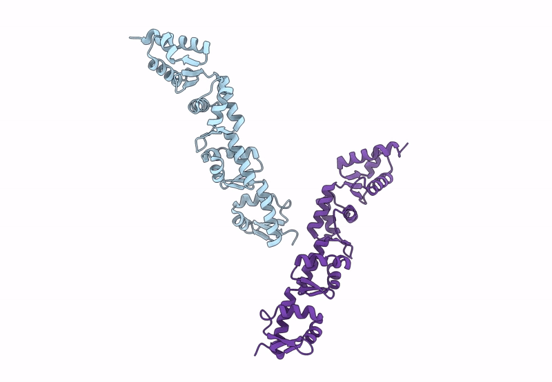 8B9X image