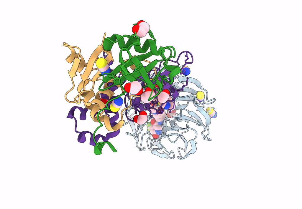 8BB2 image