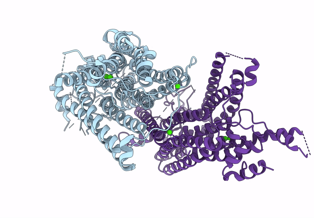 8BC1 image