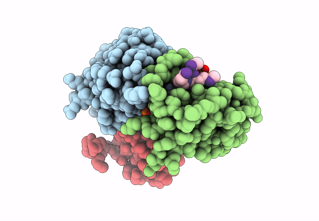 8BC6 image
