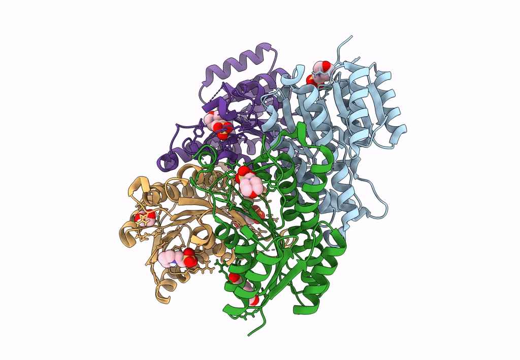 8BCI image