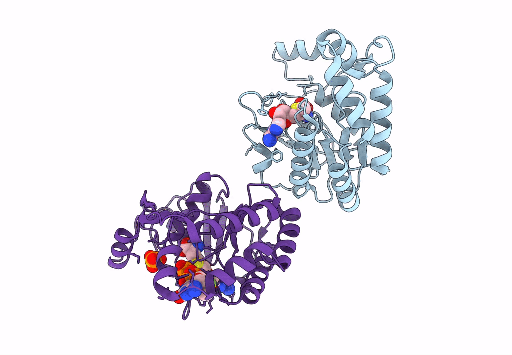 8BCR image