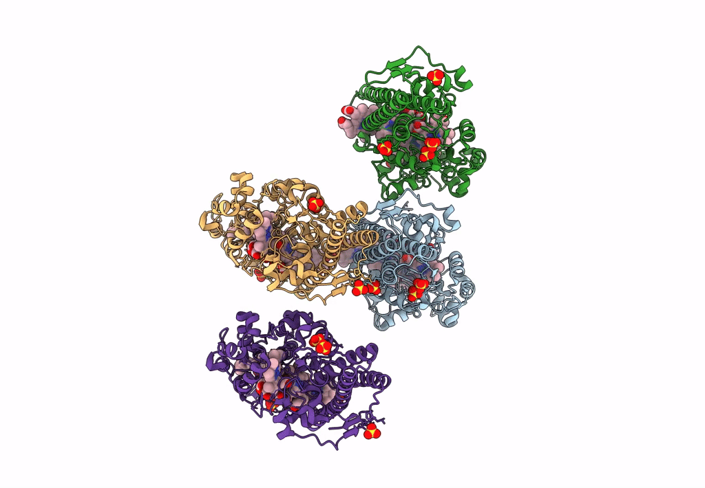 8BCX image