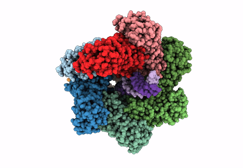 8BD4 image