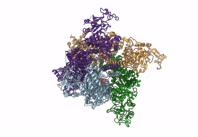 8BDC image