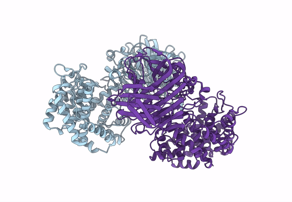 8BDD image