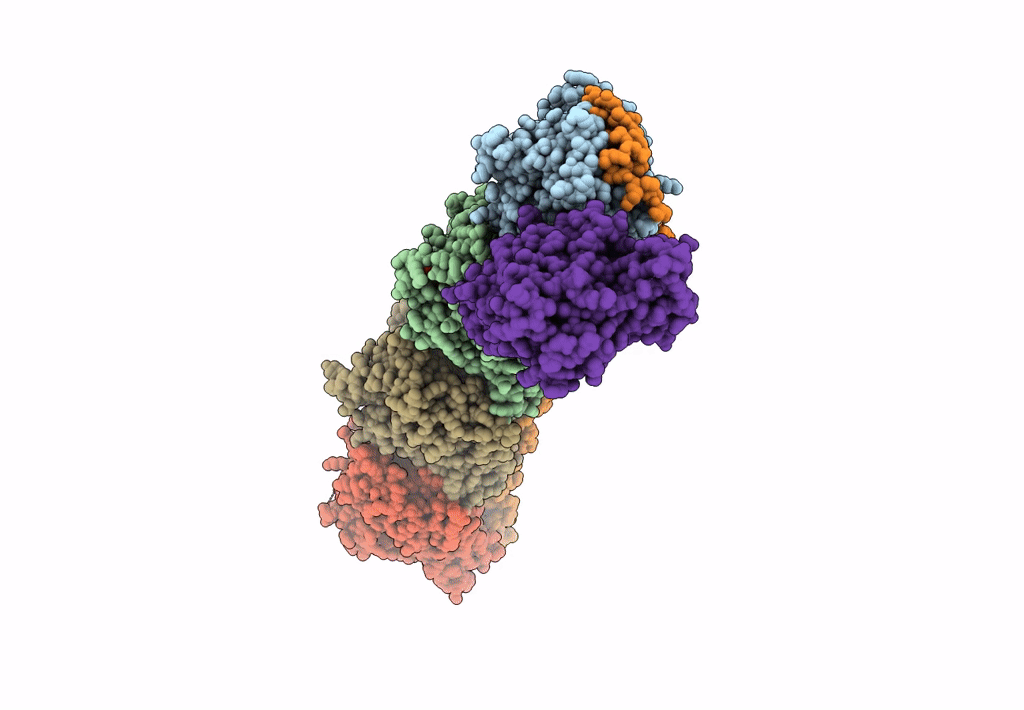 8BDF image