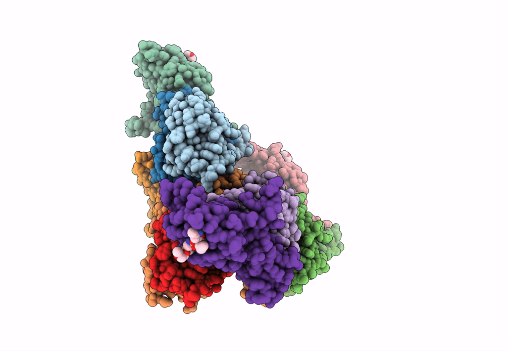 8BDM image