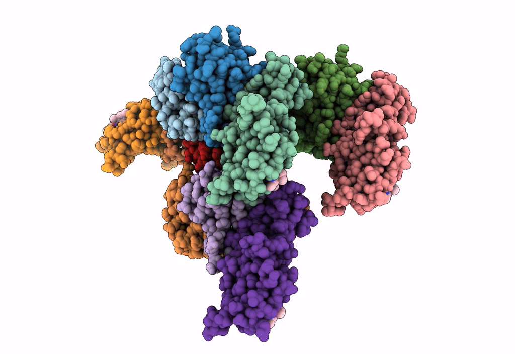 8BDN image