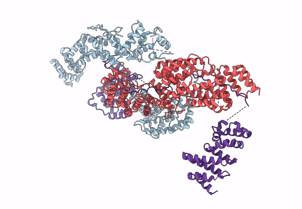 8BFI image