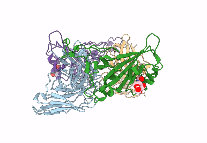 8BG3 image