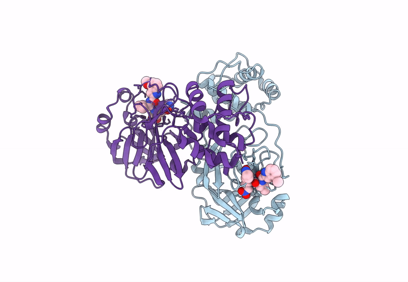 8BGA image
