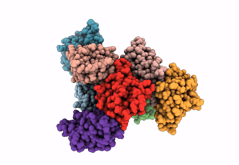 8BGB image