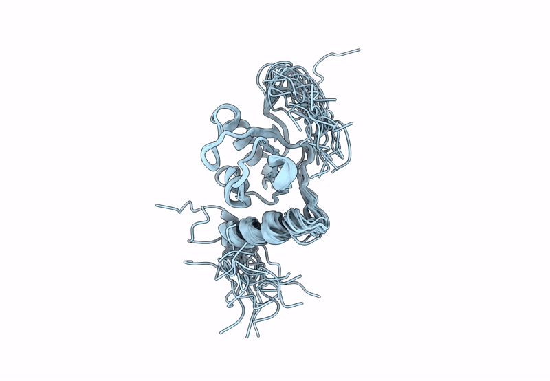 8BGF image