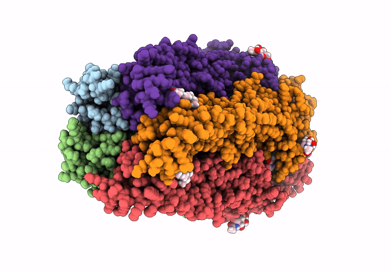 8BGI image