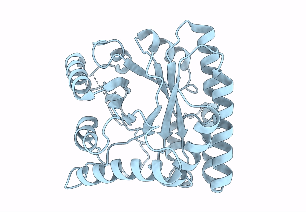 8BGR image