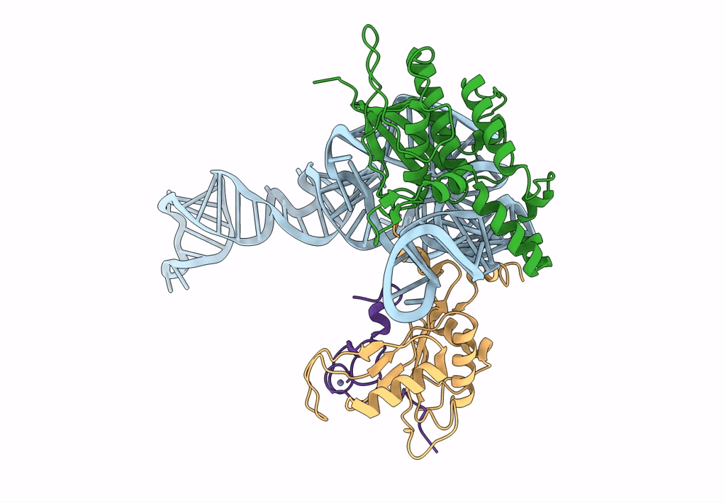 8BGU image