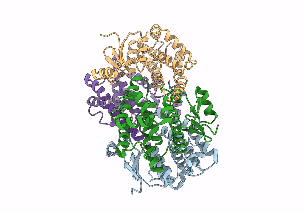 8BHC image
