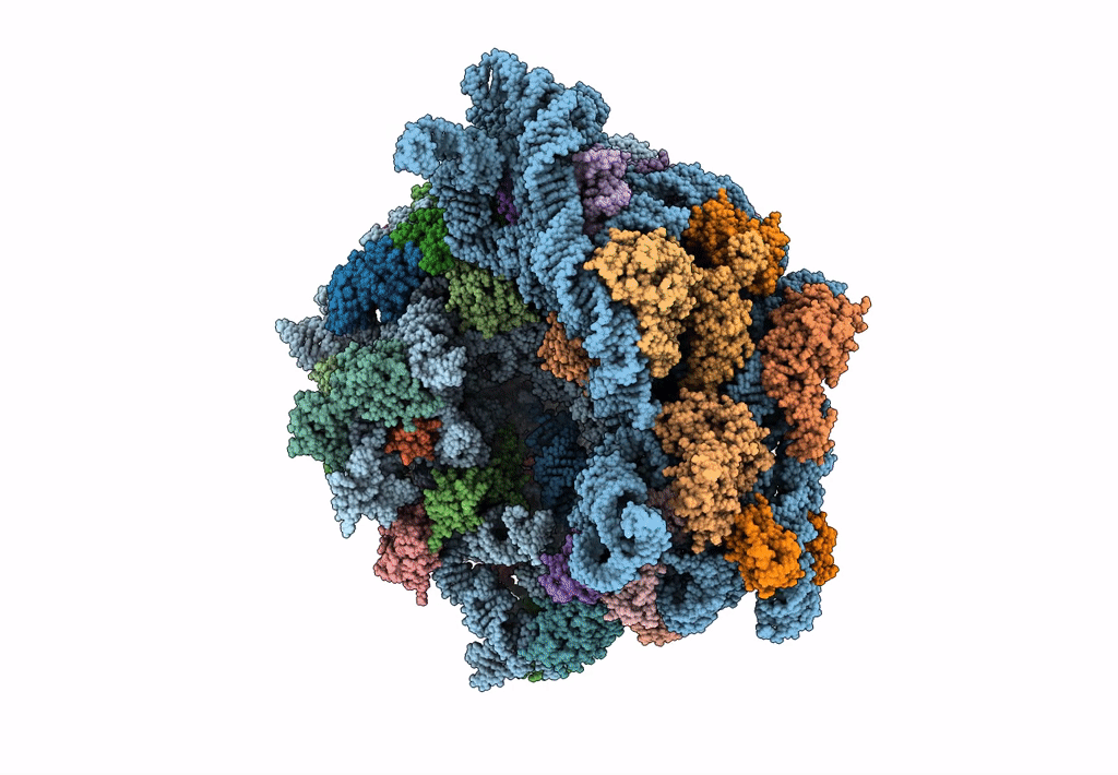 8BHL image