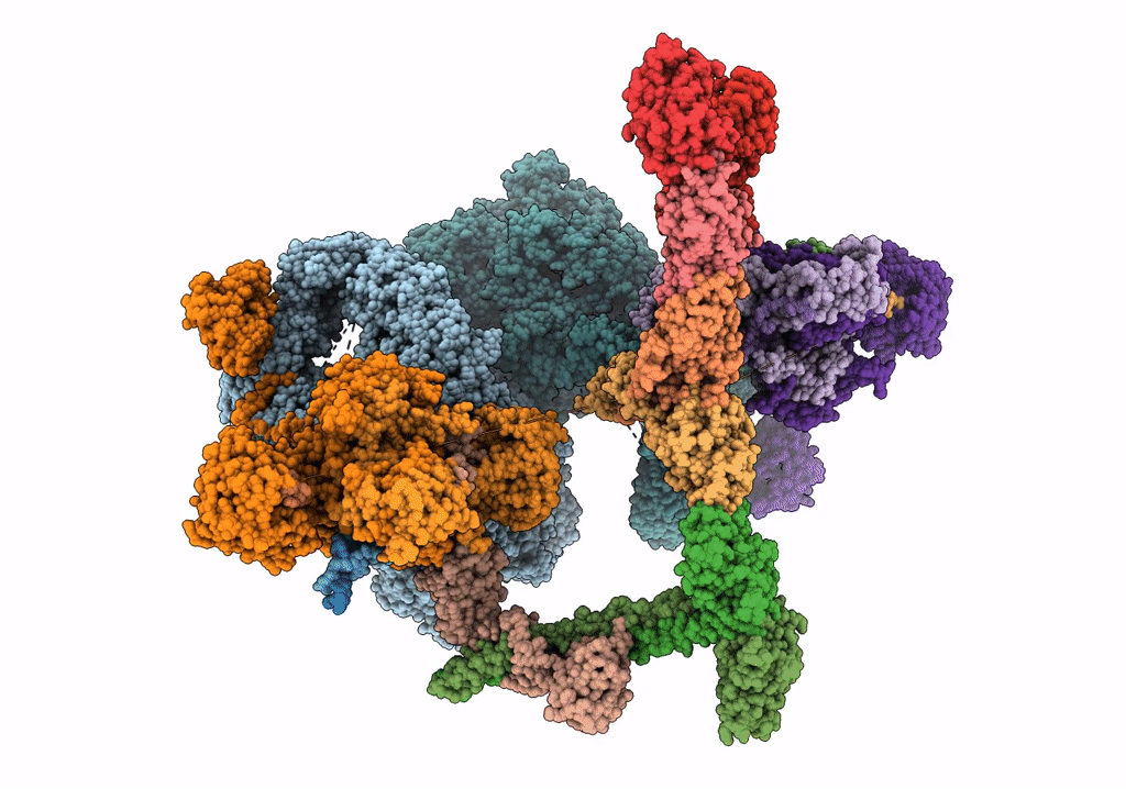 8BHV image